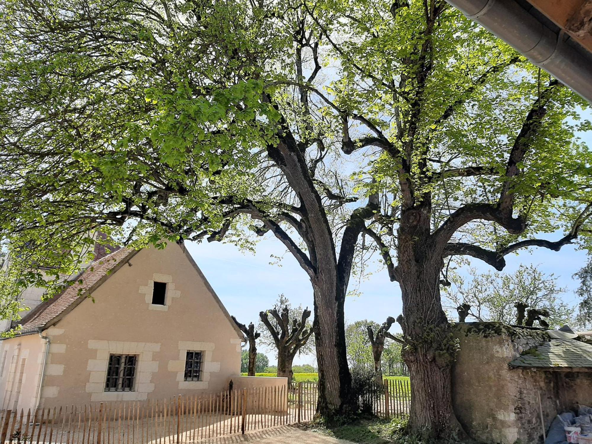 Le Puits Renaissance - Gites De Caractere Et Piscine Chauffee Chambourg-sur-Indre Εξωτερικό φωτογραφία